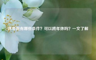 休年假有哪些条件？可以跨年休吗？一文了解