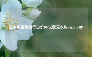 意大利裕信银行出价100亿欧元收购Banco BMP