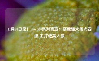 11月28日见！vivo S20系列官宣：搭载强大柔光四摄 主打绝美人像