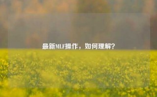 最新MLF操作，如何理解？