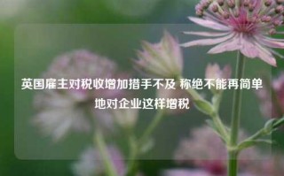 英国雇主对税收增加措手不及 称绝不能再简单地对企业这样增税