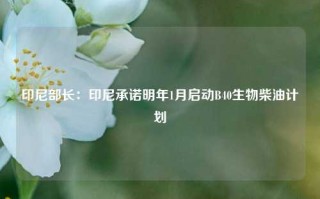 印尼部长：印尼承诺明年1月启动B40生物柴油计划