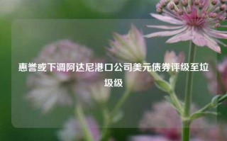 惠誉或下调阿达尼港口公司美元债券评级至垃圾级