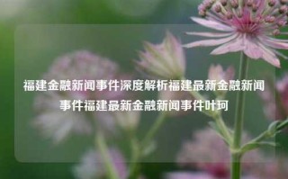 福建金融新闻事件深度解析福建最新金融新闻事件福建最新金融新闻事件叶珂