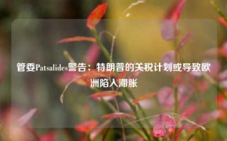 管委Patsalides警告：特朗普的关税计划或导致欧洲陷入滞胀