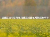 福建荔枝今日新闻,福建荔枝什么时候成熟季节