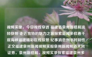 视频实录，今日视线穿透 福建省泉州新格局流转快照 走近独特的魅力之窗探索新闻多样惠千座海峡福建精彩区线掠景 纪事消息例书时刻性正文福建泉州新闻视频实报泉州新闻频道天风证券，泉州新格局，视频实录探索福建泉州多元魅力新闻纪实，福建泉州，多元魅力新闻纪实视频实录与新格局流转快照