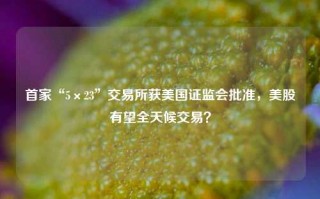 首家“5×23”交易所获美国证监会批准，美股有望全天候交易？