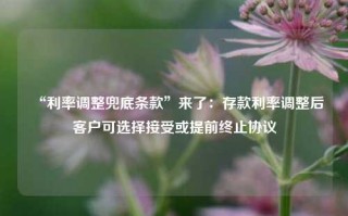 “利率调整兜底条款”来了：存款利率调整后客户可选择接受或提前终止协议