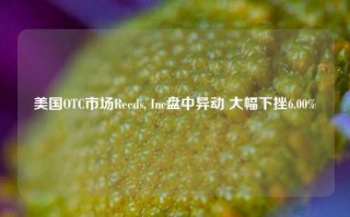 美国OTC市场Reeds, Inc盘中异动 大幅下挫6.00%