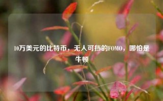 10万美元的比特币，无人可挡的FOMO，哪怕是牛顿