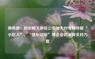 商务部：鼓励相关保险公司加大对专精特新“小巨人”、“隐形冠军”等企业的承保支持力度