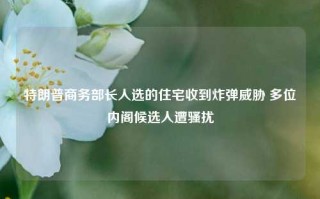 特朗普商务部长人选的住宅收到炸弹威胁 多位内阁候选人遭骚扰