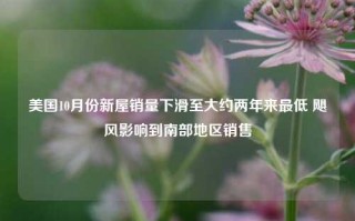 美国10月份新屋销量下滑至大约两年来最低 飓风影响到南部地区销售