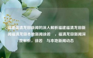 福建福清龙田新闻的深入解析福建福清龙田新闻福清龙田本地新闻徐若瑄，福清龙田新闻深度解析，徐若瑄与本地新闻动态，福清龙田新闻深度解析，徐若瑄与本地新闻动态的交织