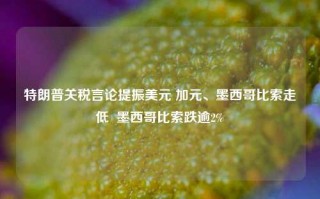 特朗普关税言论提振美元 加元、墨西哥比索走低  墨西哥比索跌逾2%