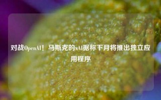 对战OpenAI！马斯克的xAI据称下月将推出独立应用程序