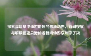 探索福建泉港仙游地区的最新动态，新闻观察与解读福建泉港仙游新闻仙游泉州李子柒