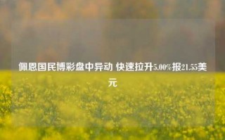 佩恩国民博彩盘中异动 快速拉升5.00%报21.55美元