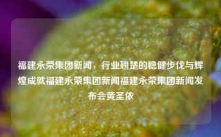 福建永荣集团新闻，行业翘楚的稳健步伐与辉煌成就福建永荣集团新闻福建永荣集团新闻发布会黄圣依