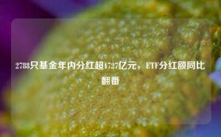 2788只基金年内分红超1727亿元，ETF分红额同比翻番