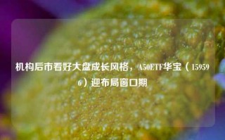 机构后市看好大盘成长风格，A50ETF华宝（159596）迎布局窗口期