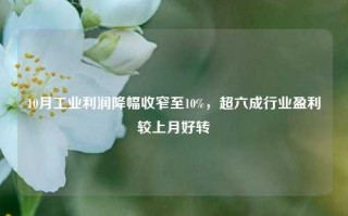 10月工业利润降幅收窄至10%，超六成行业盈利较上月好转