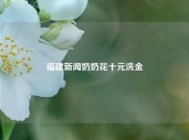 福建新闻奶奶花十元洗金