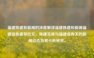 福建陈建和新闻的深度解读福建陈建和新闻福建省陈建郑钦文，陈建及其与福建省有关的新闻动态及其分析研究。，福建陈建和新闻的深度分析与研究