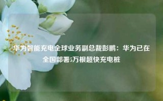 华为智能充电全球业务副总裁彭鹏：华为已在全国部署5万根超快充电桩