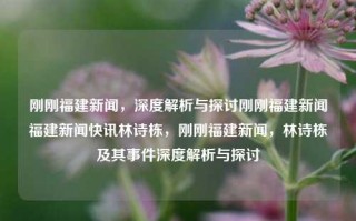 刚刚福建新闻，深度解析与探讨刚刚福建新闻福建新闻快讯林诗栋，刚刚福建新闻，林诗栋及其事件深度解析与探讨，福建新闻焦点，林诗栋事件深度解析与探讨，简洁明了地突出了新闻的焦点和主要内容，同时突出了林诗栋事件的重要性。希望符合您的要求。