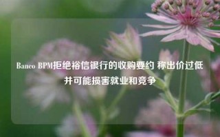 Banco BPM拒绝裕信银行的收购要约 称出价过低并可能损害就业和竞争