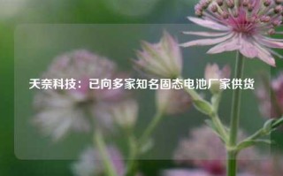 天奈科技：已向多家知名固态电池厂家供货