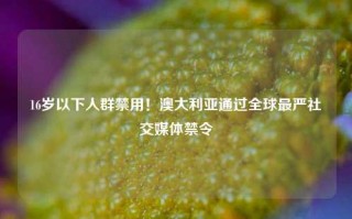 16岁以下人群禁用！澳大利亚通过全球最严社交媒体禁令