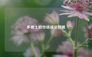 多地土拍市场成交回暖