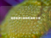 福建福清公园新闻,福清 公园