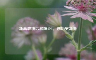 新高教绩后暴跌42%，创历史新低