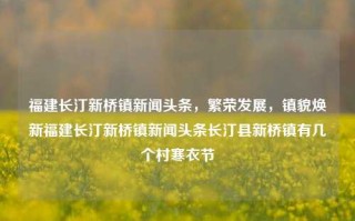 福建长汀新桥镇新闻头条，繁荣发展，镇貌焕新福建长汀新桥镇新闻头条长汀县新桥镇有几个村寒衣节