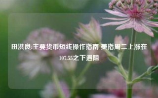 田洪良:主要货币短线操作指南 美指周二上涨在107.55之下遇阻