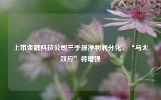 上市金融科技公司三季报净利润分化，“马太效应”将增强