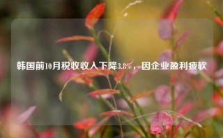 韩国前10月税收收入下降3.8%，因企业盈利疲软