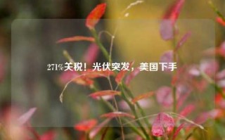 271%关税！光伏突发，美国下手