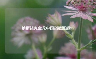 纳斯达克金龙中国指数涨超3%