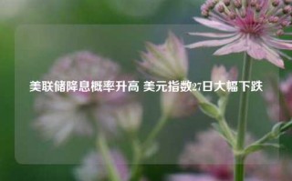 美联储降息概率升高 美元指数27日大幅下跌