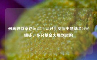 最高收益率达90.63%！30只北交所主题基金29只赚钱，多只基金火爆到限购