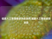 福建人工鱼塘最新消息新闻,福建人工增雨最新消息