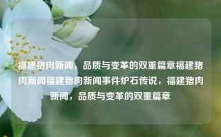 福建猪肉新闻，品质与变革的双重篇章福建猪肉新闻福建猪肉新闻事件炉石传说，福建猪肉新闻，品质与变革的双重篇章，福建猪肉新闻，品质与变革的双重篇章