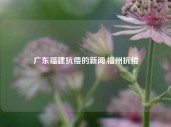 广东福建抗倭的新闻,福州抗倭