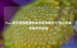 Pimco表示美国国债收益率具有吸引力 预计收益率曲线将趋陡