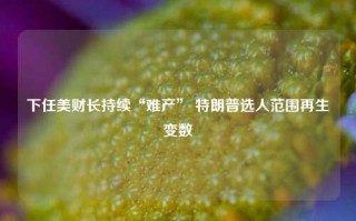 下任美财长持续“难产” 特朗普选人范围再生变数